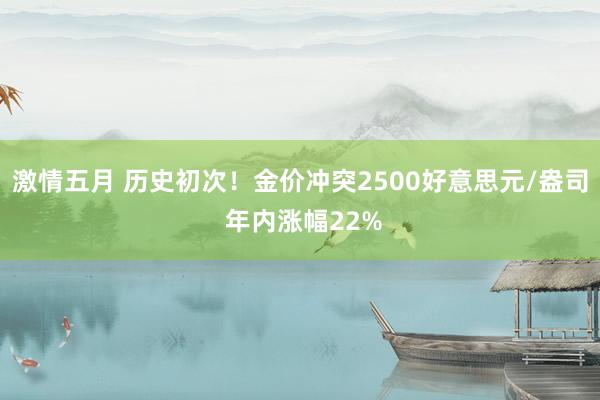 激情五月 历史初次！金价冲突2500好意思元/盎司 年内涨幅22%