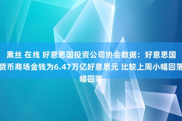 黑丝 在线 好意思国投资公司协会数据：好意思国货币商场金钱为6.47万亿好意思元 比较上周小幅回落