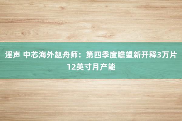 淫声 中芯海外赵舟师：第四季度瞻望新开释3万片12英寸月产能