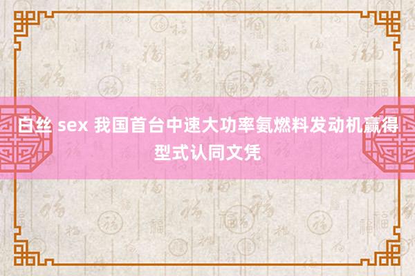白丝 sex 我国首台中速大功率氨燃料发动机赢得型式认同文凭