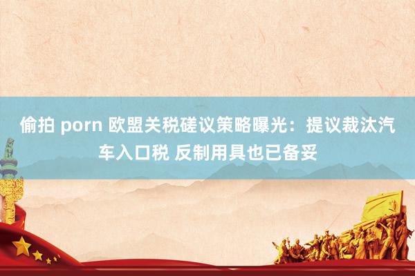 偷拍 porn 欧盟关税磋议策略曝光：提议裁汰汽车入口税 反制用具也已备妥