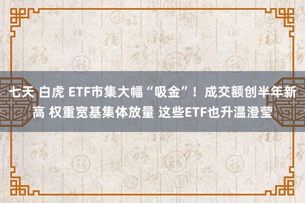 七天 白虎 ETF市集大幅“吸金”！成交额创半年新高 权重宽基集体放量 这些ETF也升温澄莹